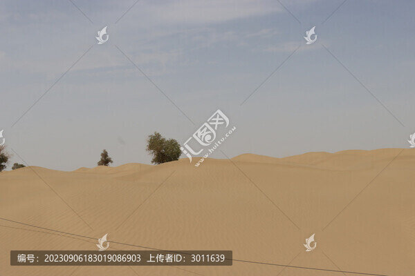 沙漠荒漠