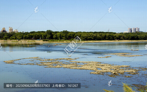 松花江畔風(fēng)光美
