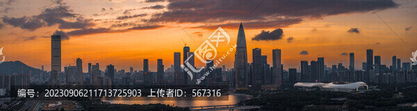 深圳灣全景圖