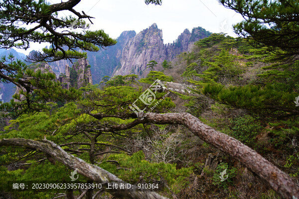 黃山美景