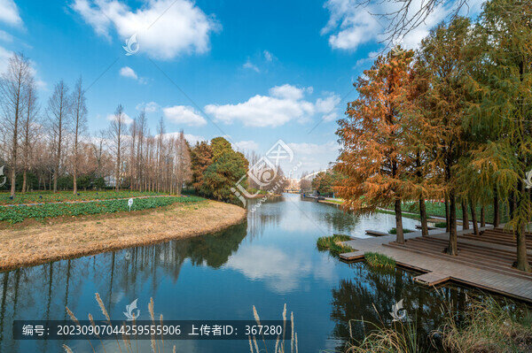 上海后灘濕地公園河畔美景