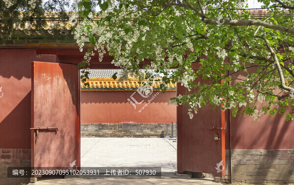 丁香花與古建筑