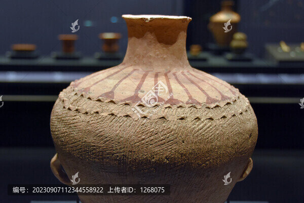 青海省博物館