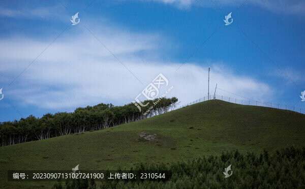 藍(lán)天白云下長(zhǎng)滿青草樹木的山坡