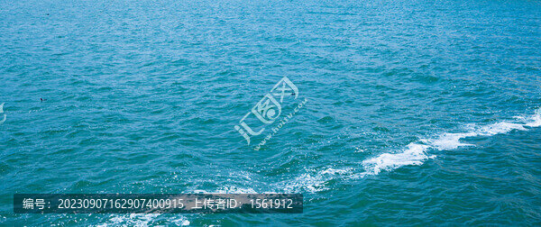 金梭島浪花