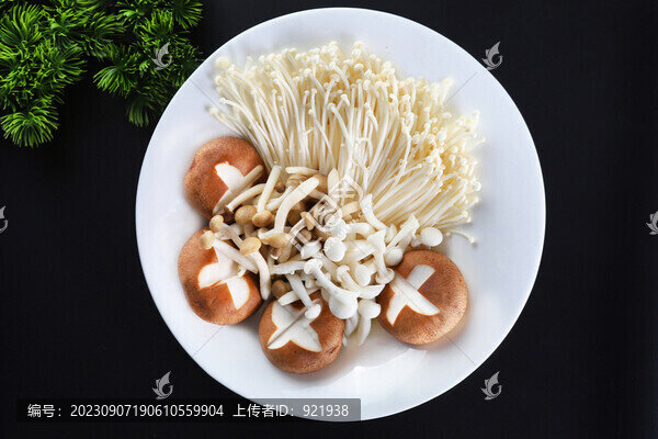菌類拼盤