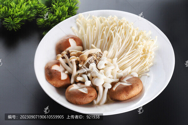 菌類拼盤