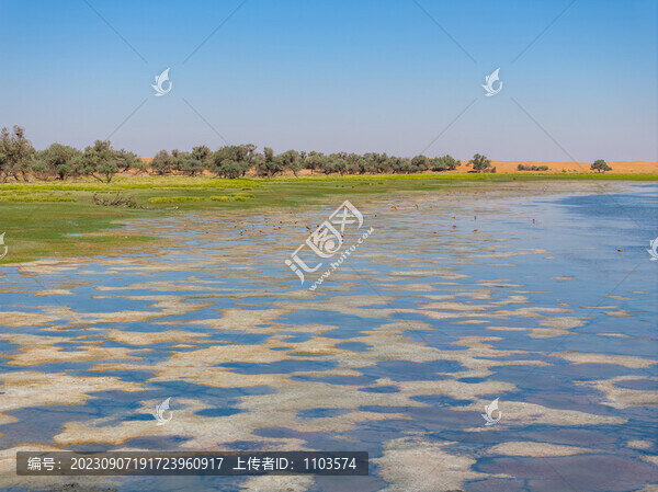 航拍內(nèi)蒙騰格里沙漠天鵝湖