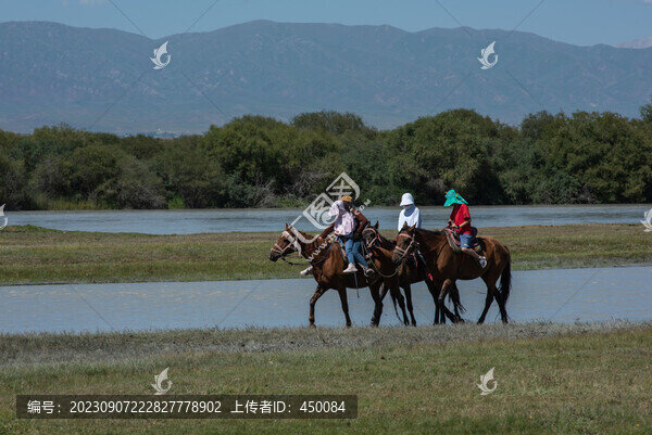 信馬由韁