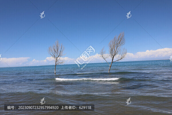 青海湖