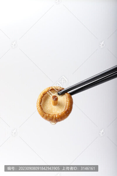 筷子上夾起泡發(fā)的香菇