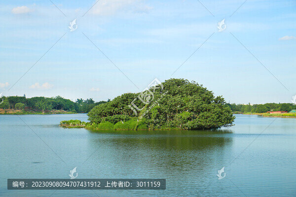 海珠湖風(fēng)景