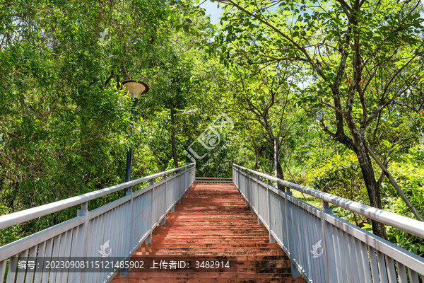 登山樓梯