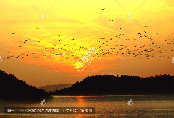 漳河鳥島晚霞