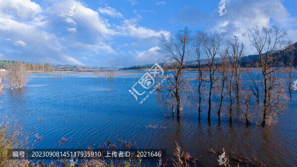 云南會(huì)澤念湖濕地風(fēng)景