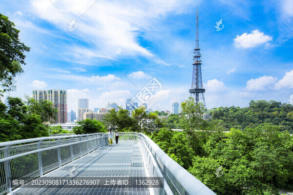 廣州云道