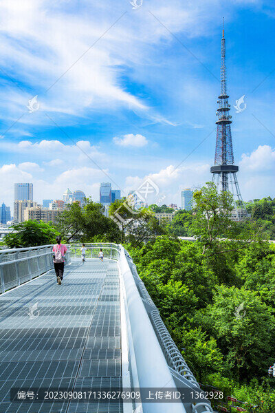 廣州云道