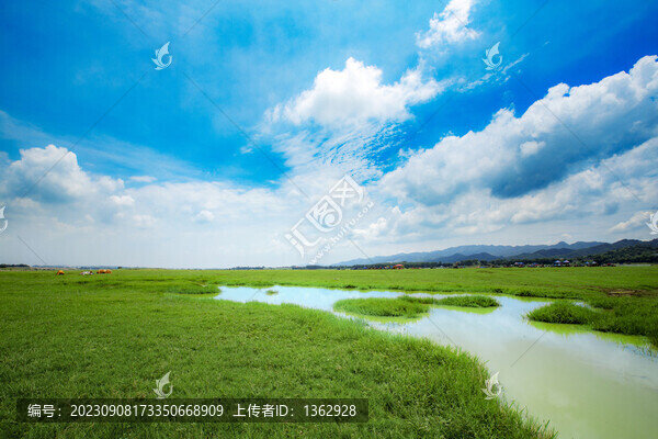 清遠(yuǎn)南國(guó)草原
