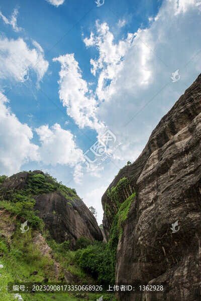清遠南國草原