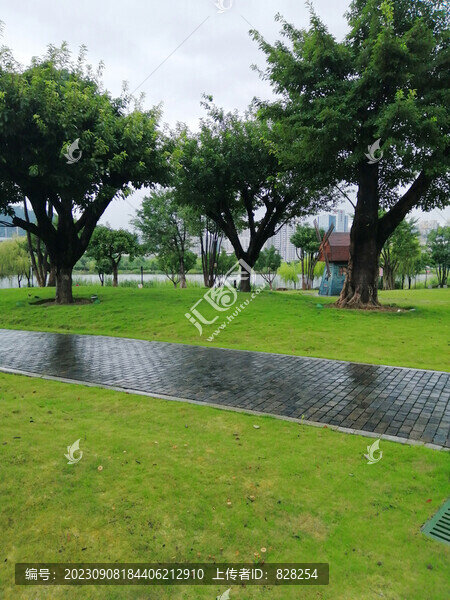 公園
