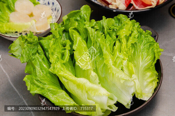 生菜