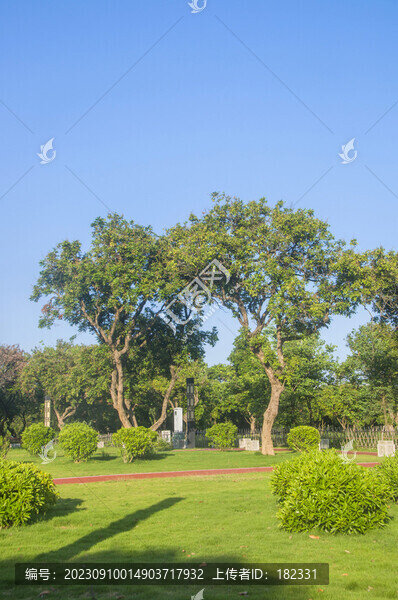 公園綠植風(fēng)光
