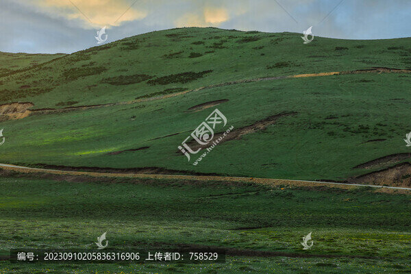 草原道路背景