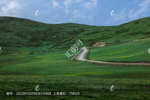 草原道路