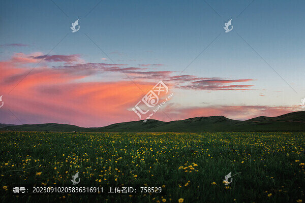 草原日落花海