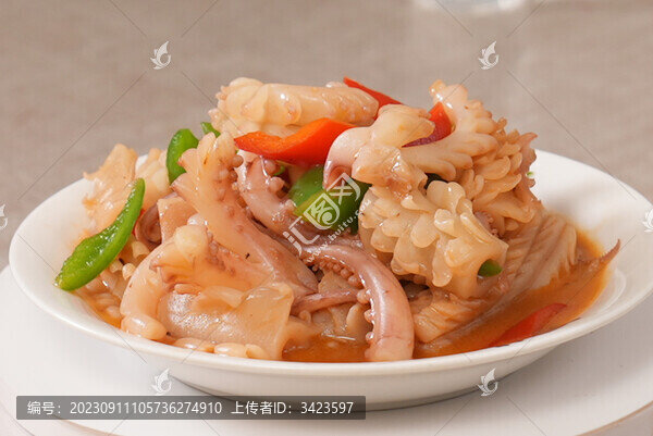魷魚(yú)
