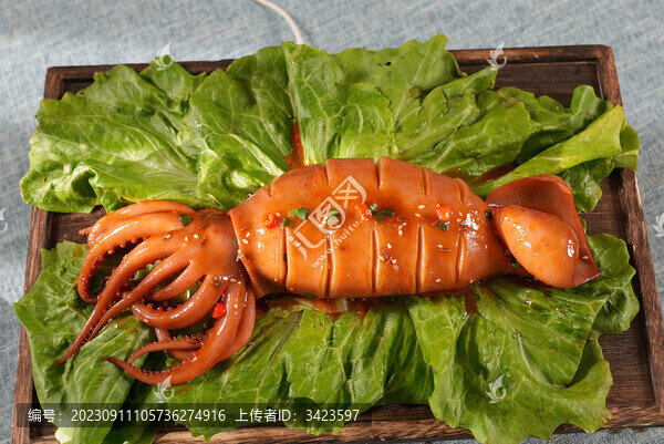 魷魚(yú)