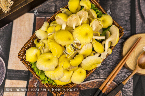 蘑菇