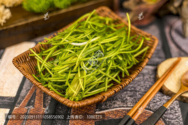 水性楊花
