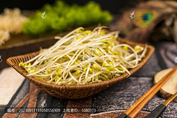 豆芽