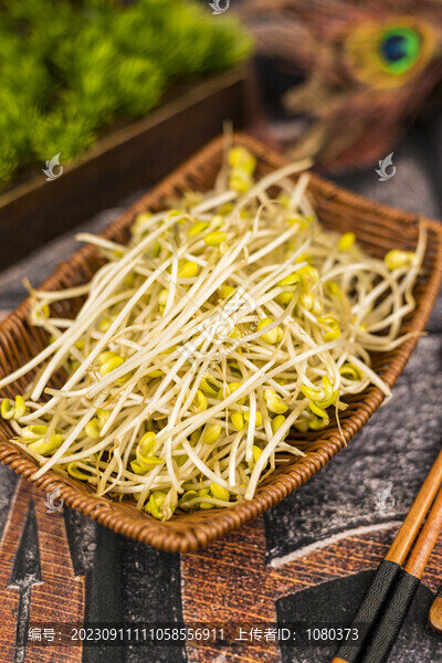 豆芽