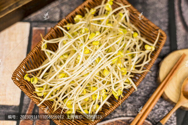 火鍋豆芽