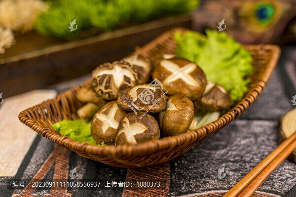 香菇