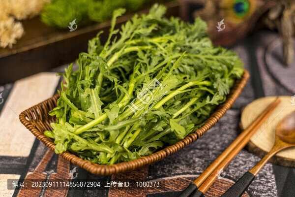 新鮮茼蒿