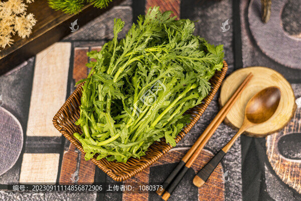 新鮮茼蒿
