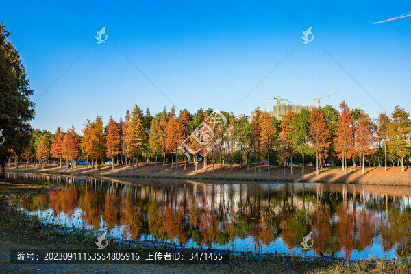 昆承湖秋景