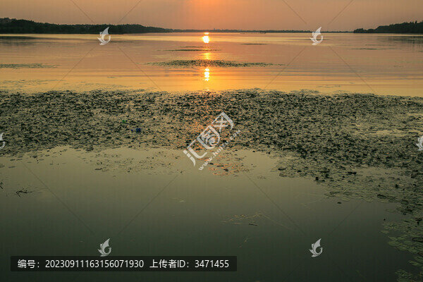 尚湖落日
