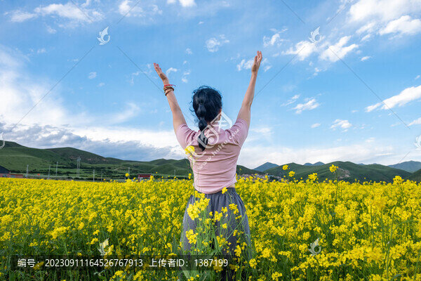 川西甘南油菜花海