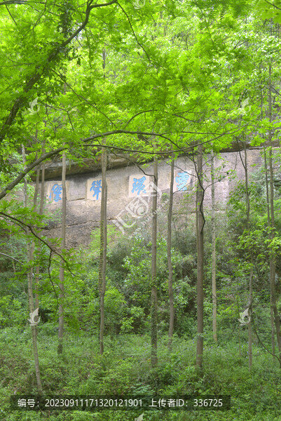 四川劍門關(guān)云環(huán)聳翠摩崖石刻