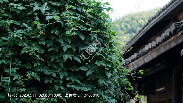 古鎮(zhèn)