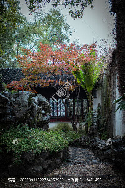 藕園