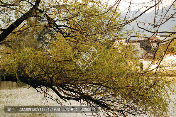 宏村西遞旅游風(fēng)景圖