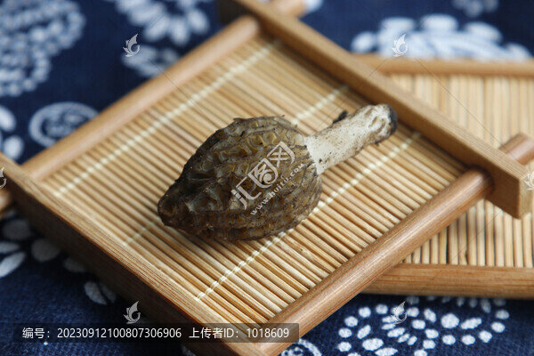 羊肚菌云南野生菌干羊肚菌