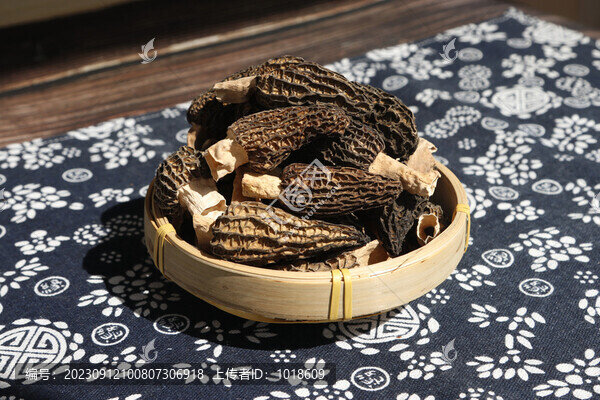 羊肚菌云南野生菌干羊肚菌