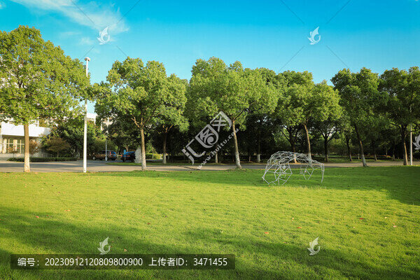 常熟理工草地