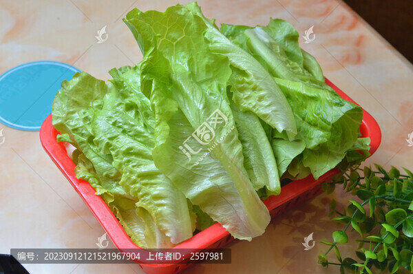 火鍋生菜